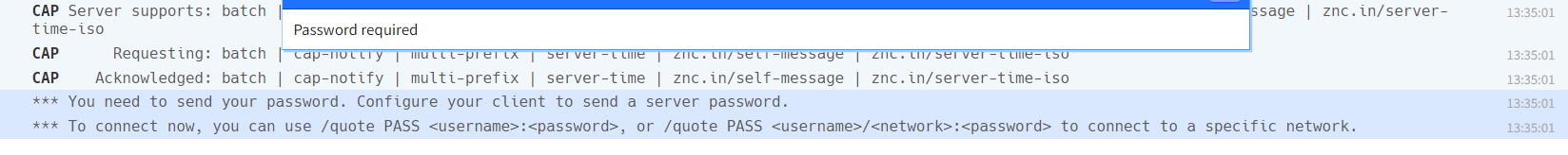 IRCloudZNC_PasswordRequired