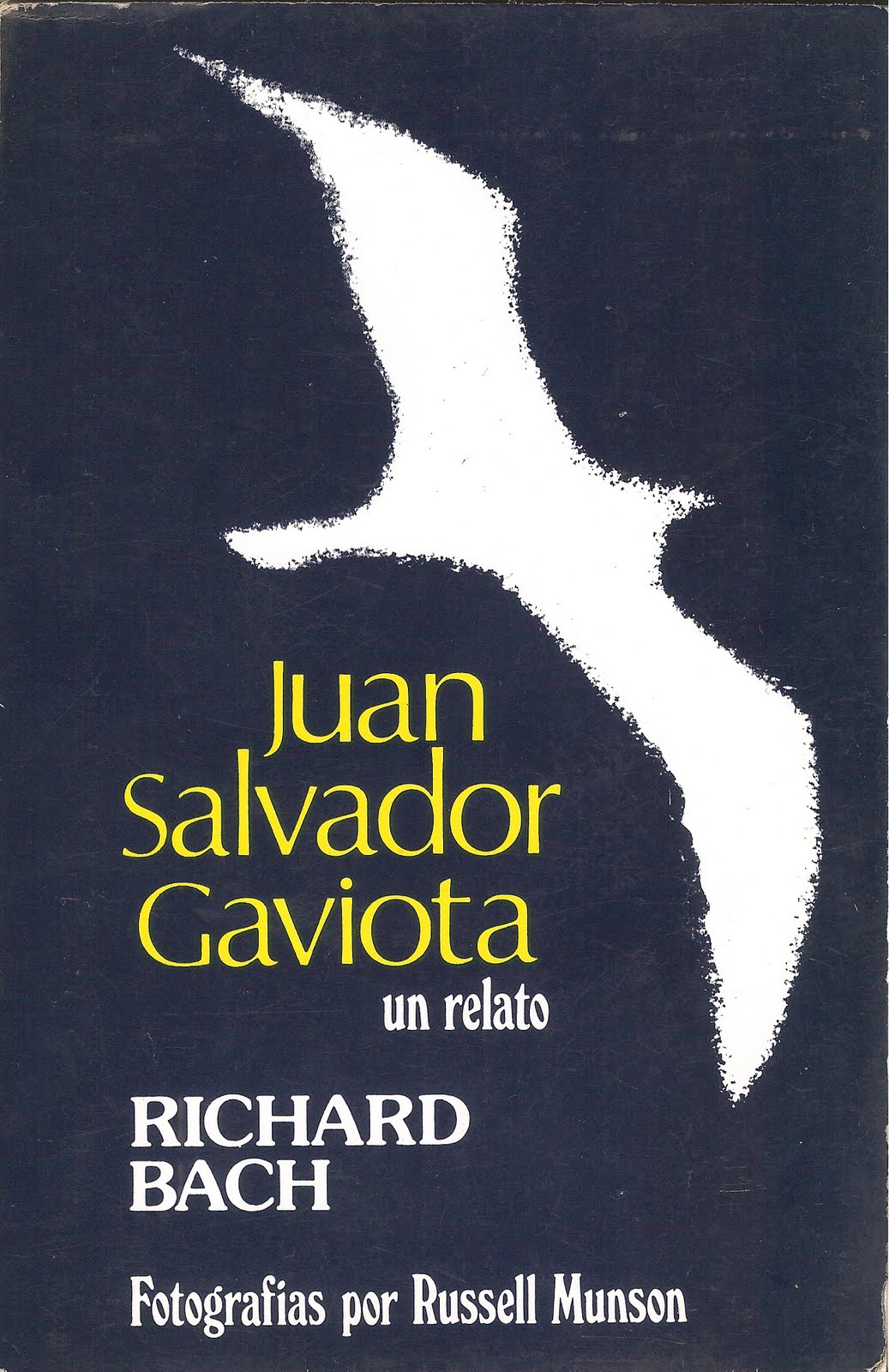 Juan Salvador Gaviota