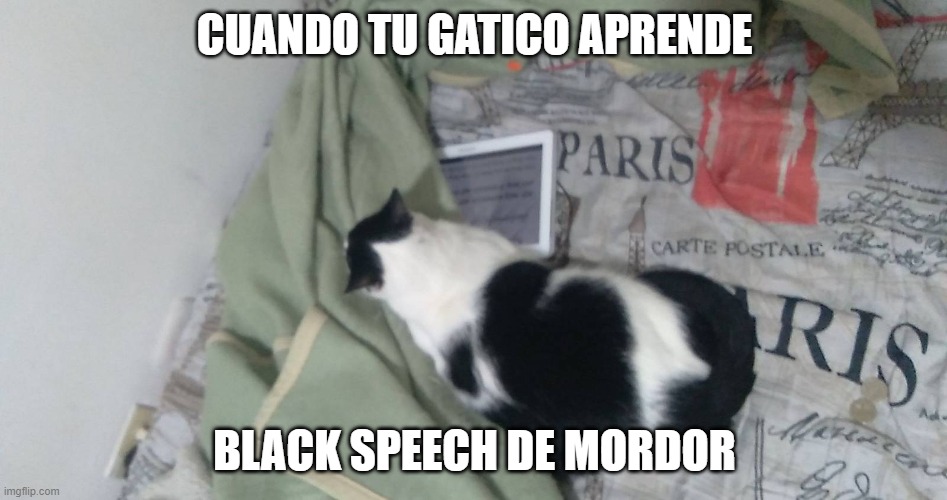 MemeGatoAprende_Generators